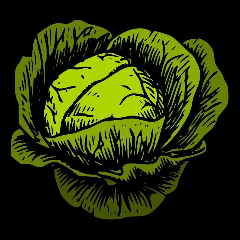 Chou rouge chou blanc chou cabbage kale veggie gemuese