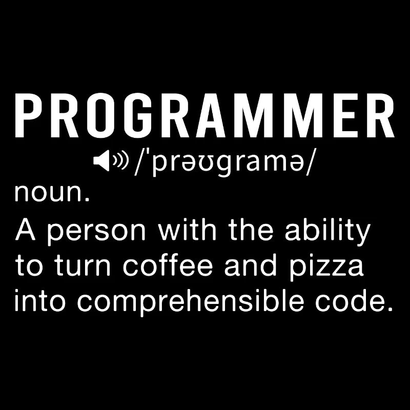 Programmierer Programmierung Informatik Computer