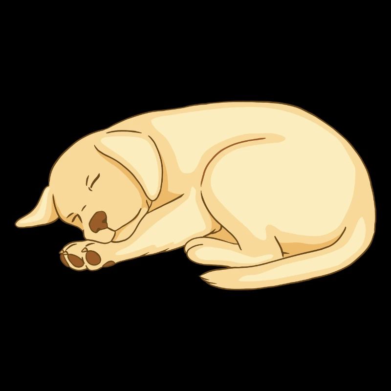 Doux labrador endormi chiot