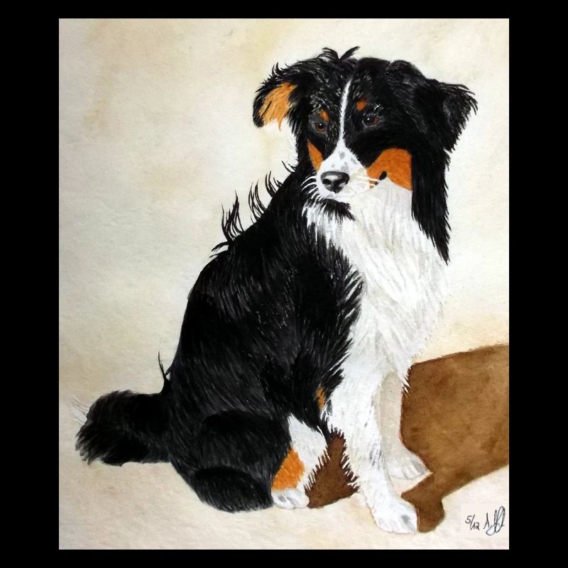 Sitzender Aussie Nanouk