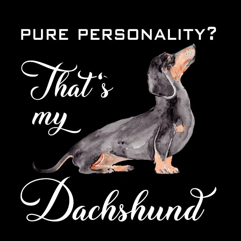 Dachshund personality on four paws