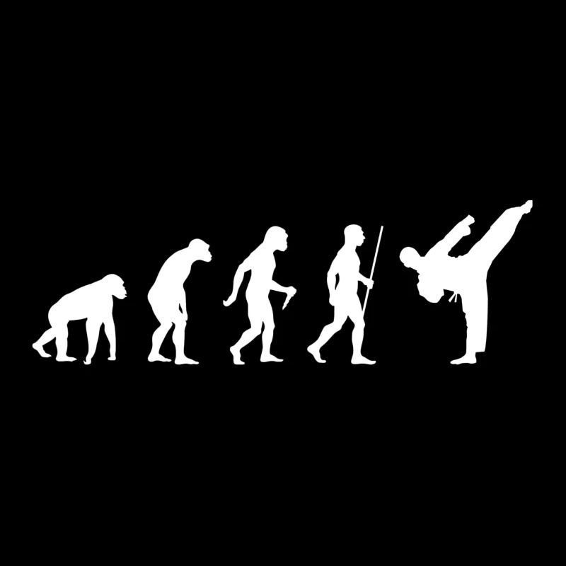 2563 Evolution Karate