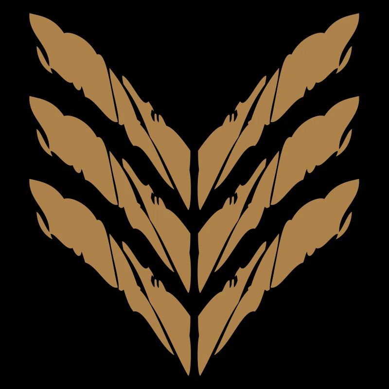 Rank Insignia General Soldier