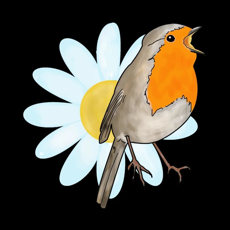 Robins et marguerites