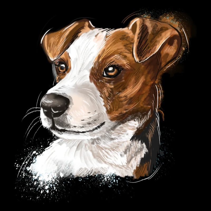 jack russel