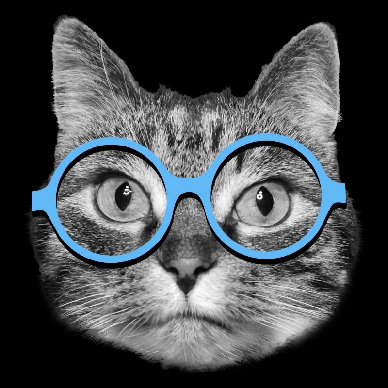 Katze mit blauer Brille