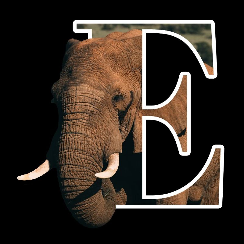 E Elephant alphabet animaux