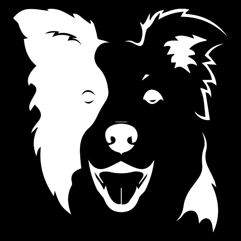 Agilité de chien de chien