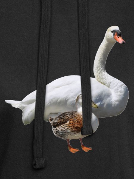Schwan