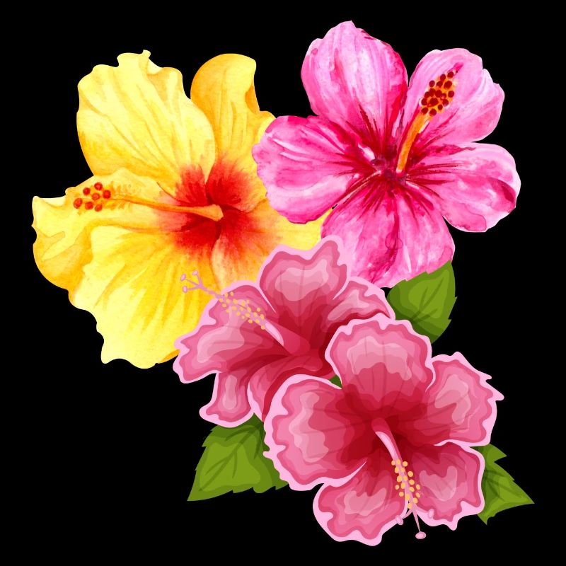 Hawaï Aloha Fleurs