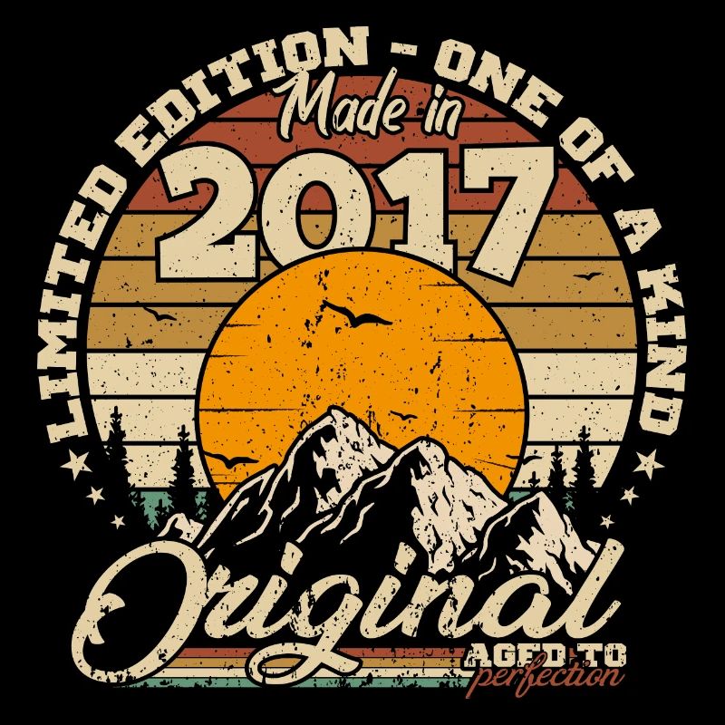 Made in 2017 Geburtstagsgeschenk 2017 Retro 2017