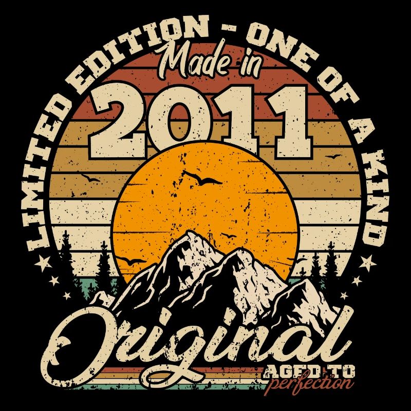 Made in 2011 Geburtstagsgeschenk 2011 Retro 2011