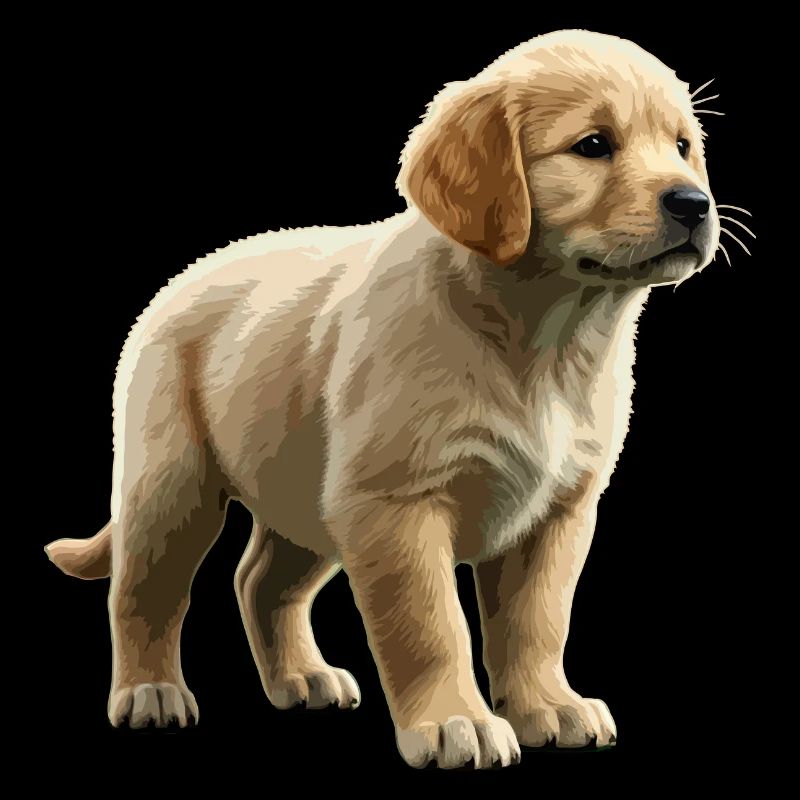 Chiot golden retriever