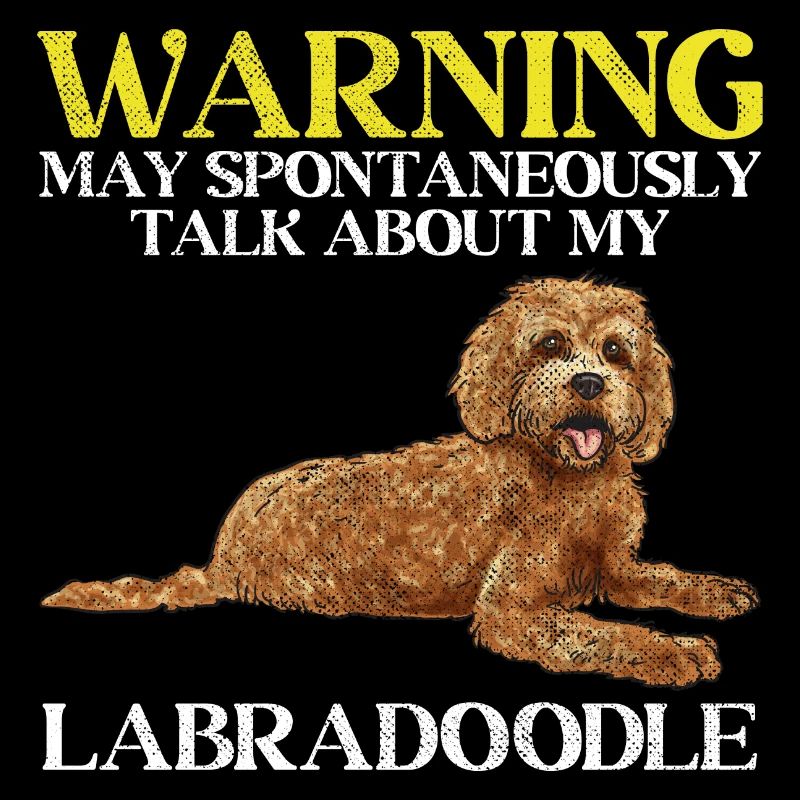 Labradoodle Hund