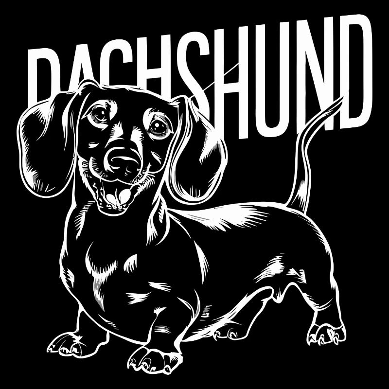 Teckel Teckel chien chien