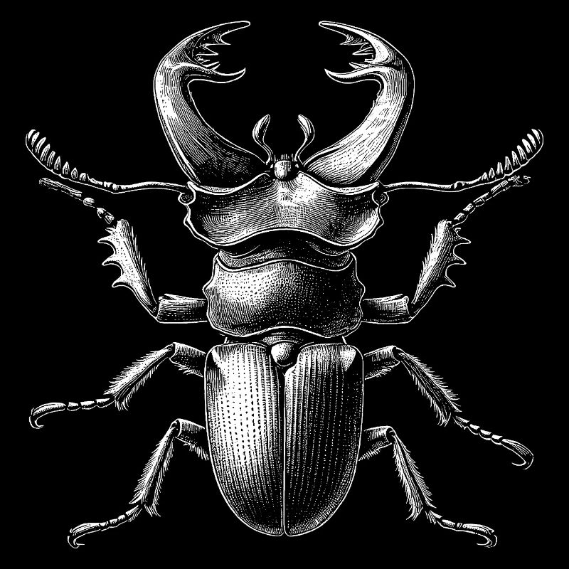 Hirschkäfer
