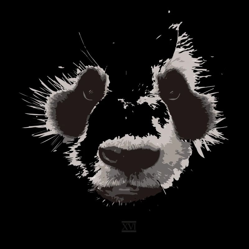 Panda Gesicht
