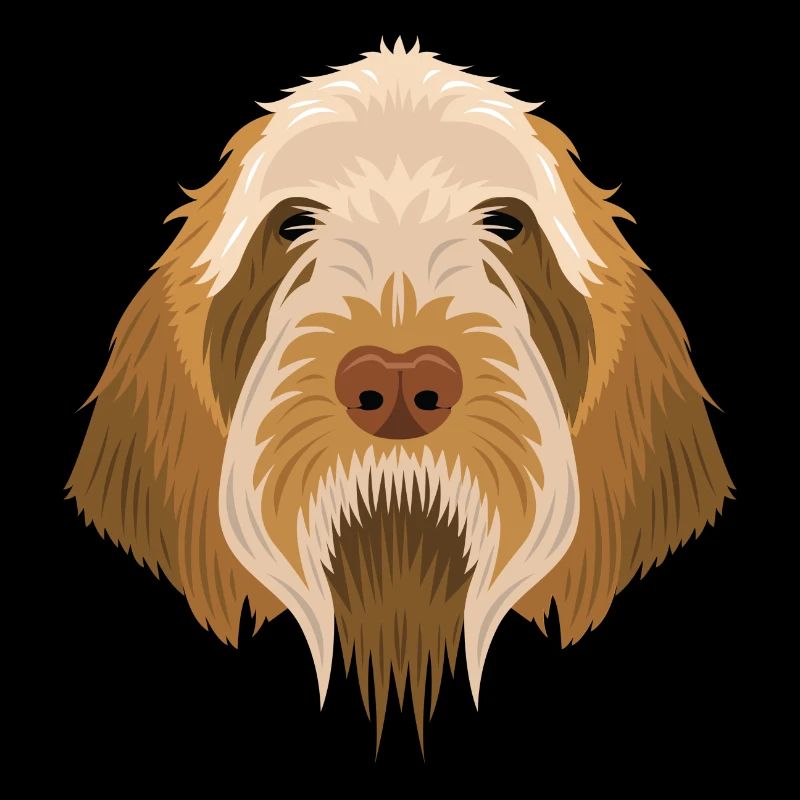 Spinone Italiano
