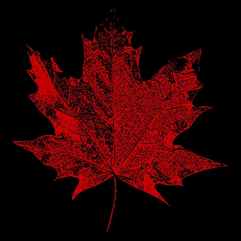 Maple leaf