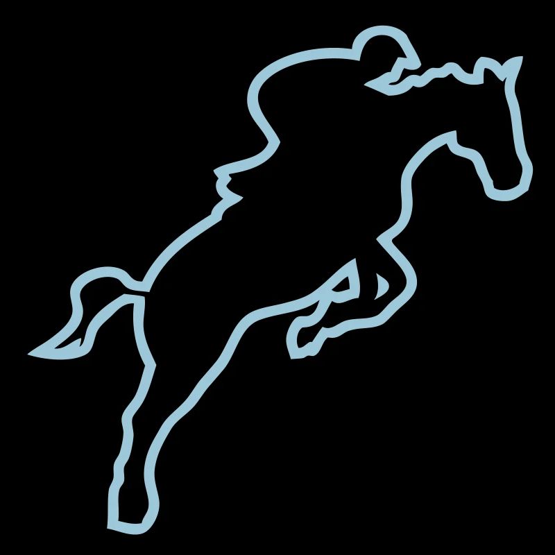 equitation cavalier13 obstacle cheval tr