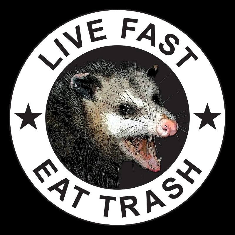 Live Fast Eat Trash Possum