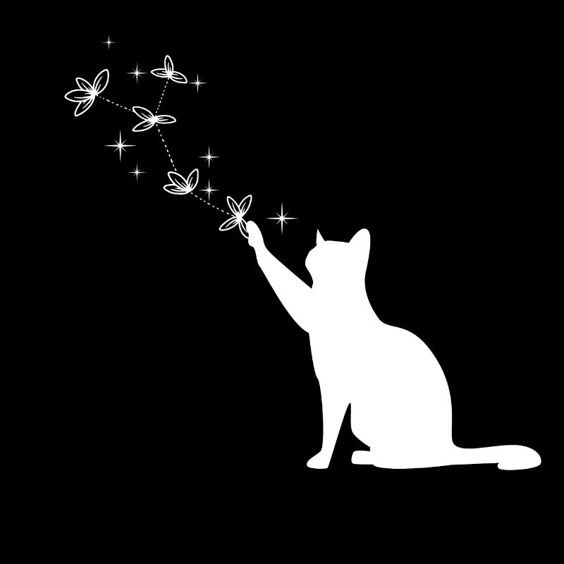 Chat magique étoilé