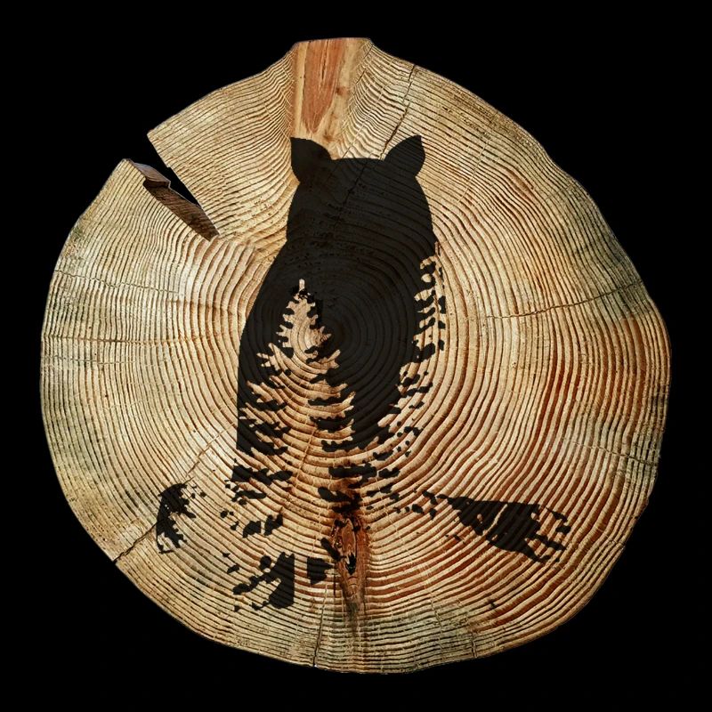 Tree Disc Owl