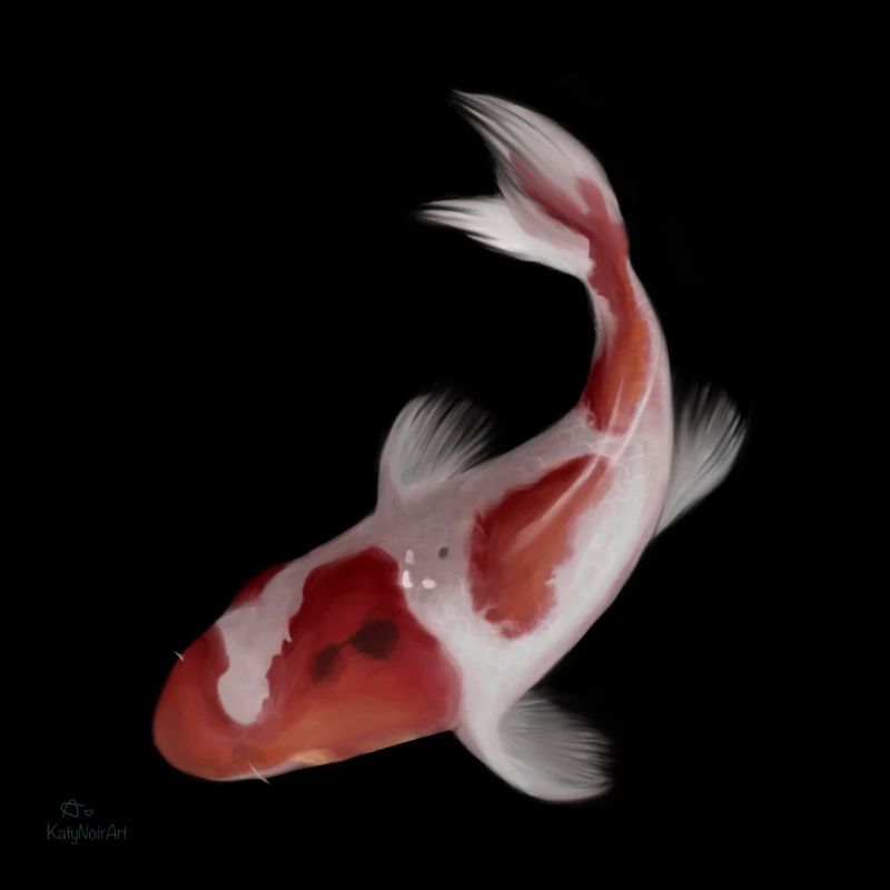Poisson Koi