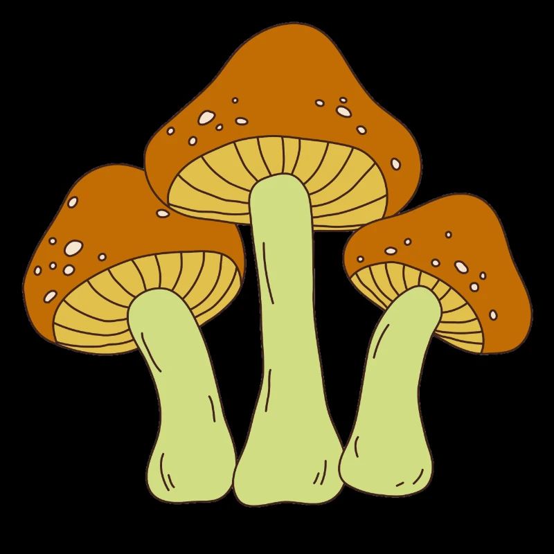 champignon