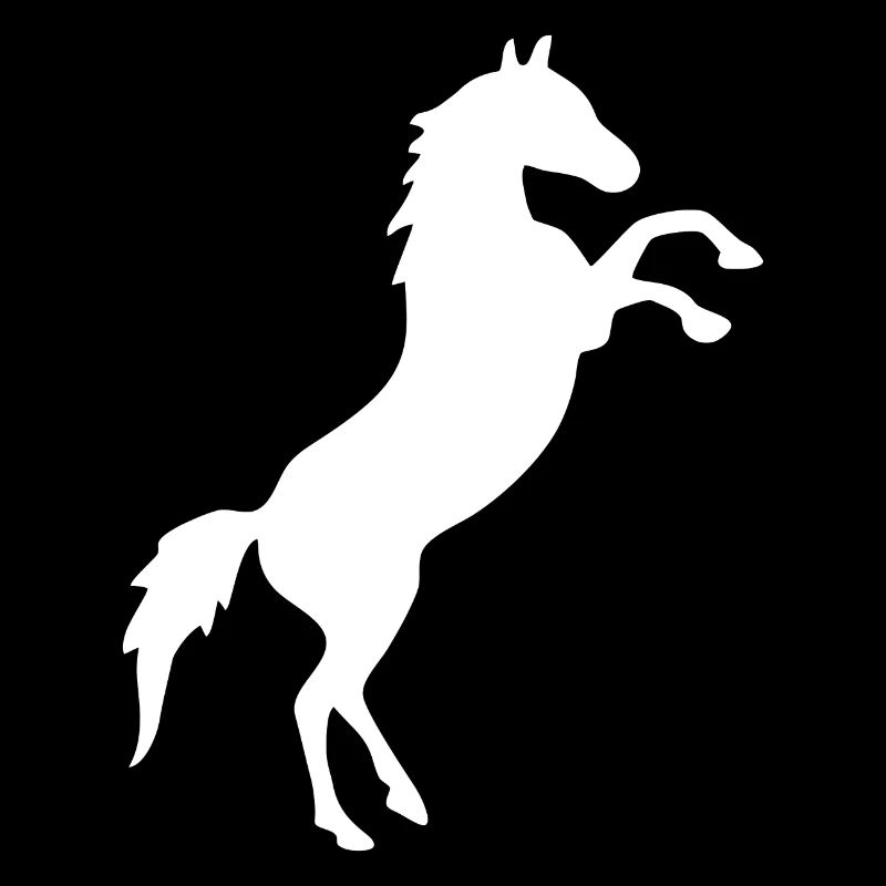 Horse rearing white