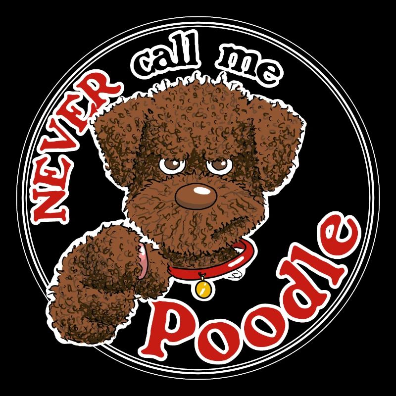 Poodle1 3