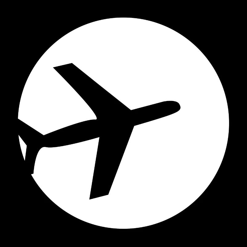 Airplane in a circle