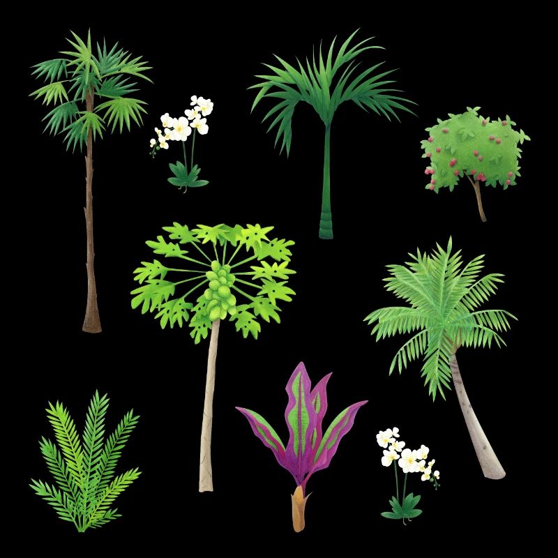 Modèles de plantes asiatiques