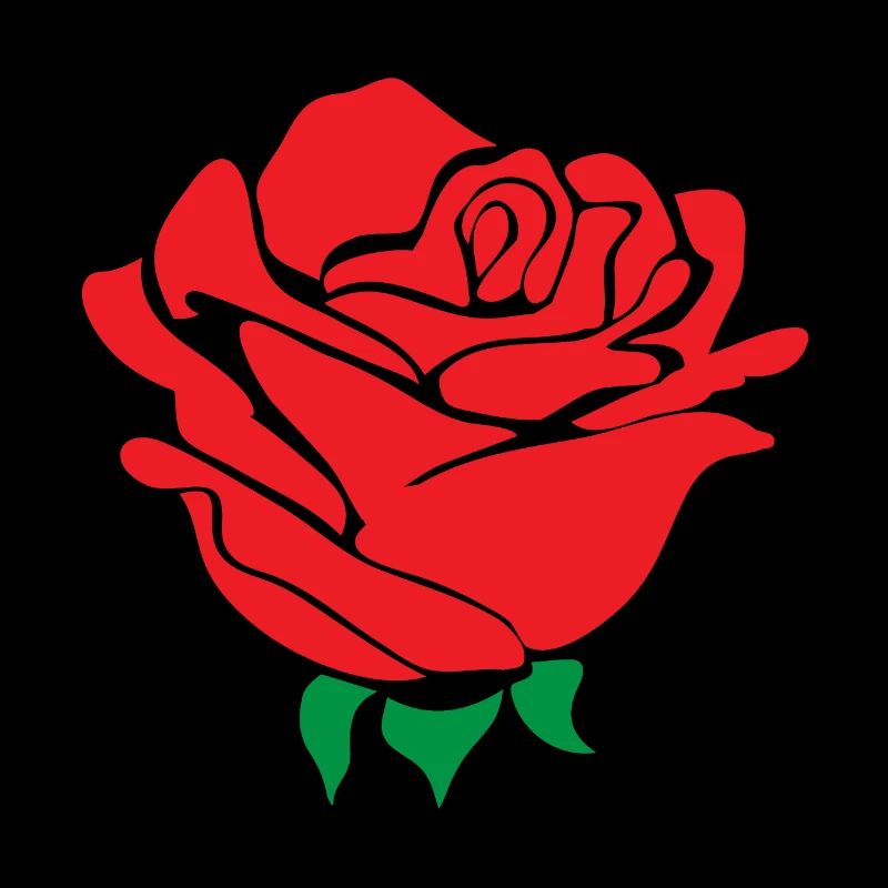 Rose flower