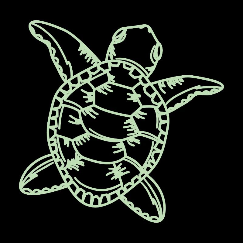 Schildkröte