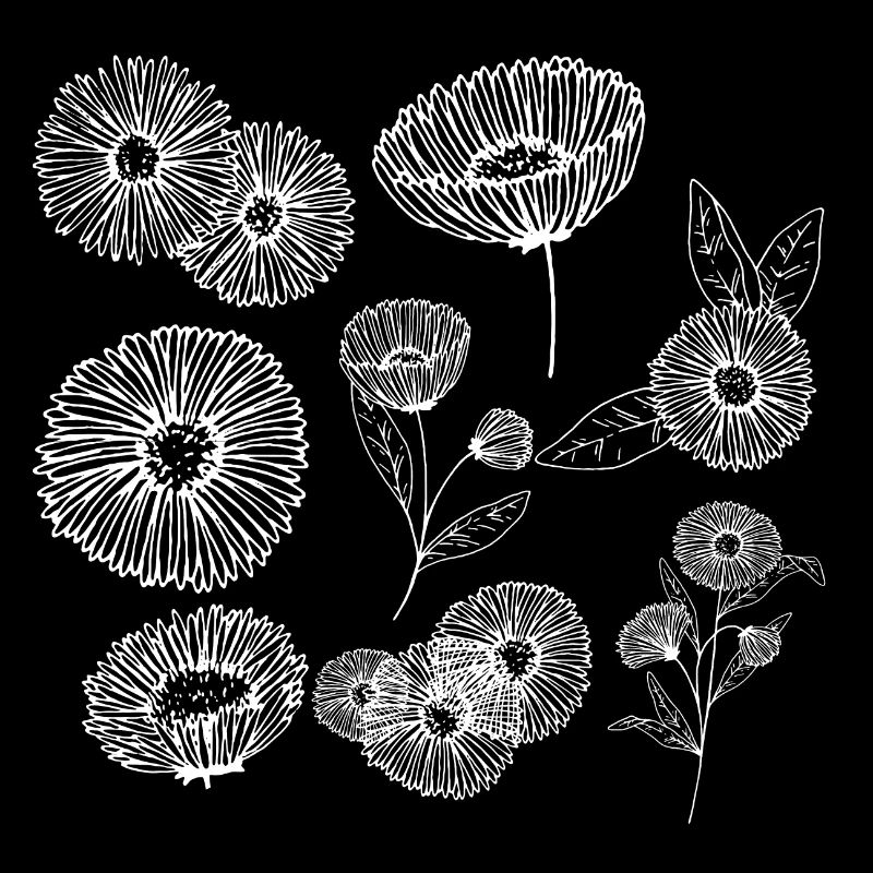Aster flower group