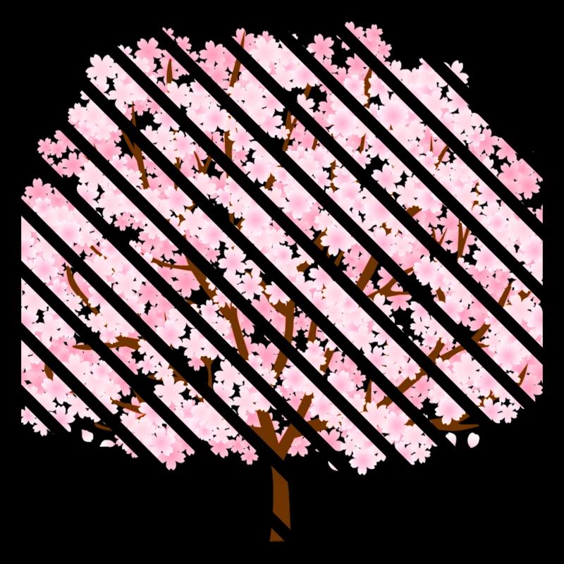 Cherry blossom in spring