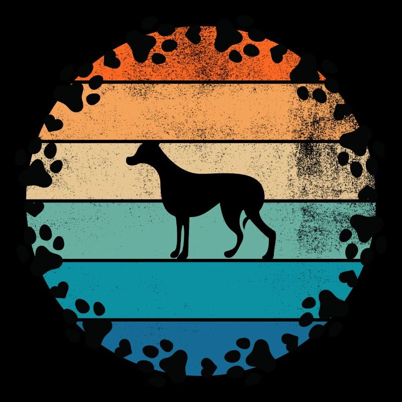 Hunde Sonne Dobermann