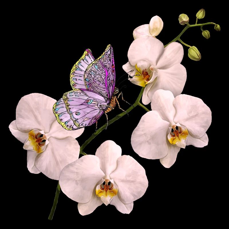 Bunter Schmetterling