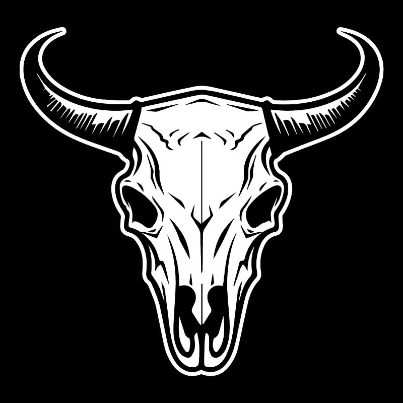 Crâne de vache Boho