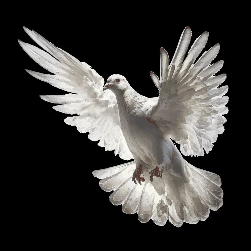 Firedenstaube Geschenk