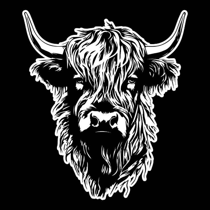 Scottish Highland cow