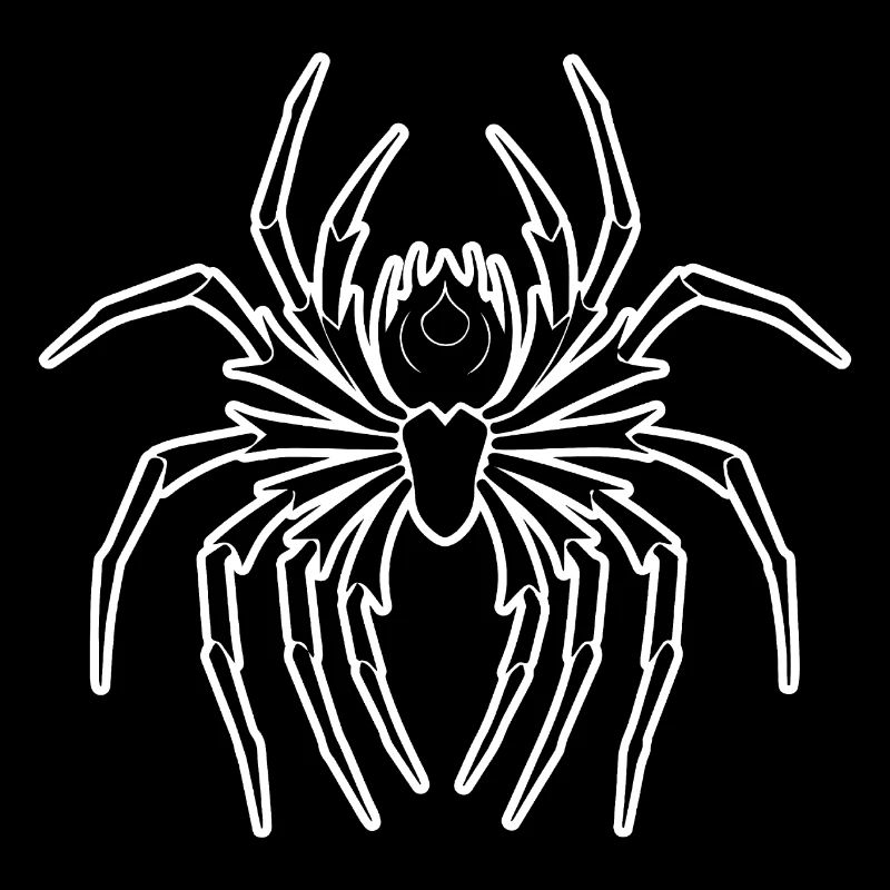 Spinne Spinnen Tiere