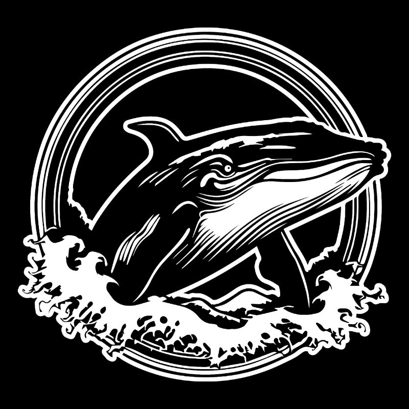 Whale Sea Fish