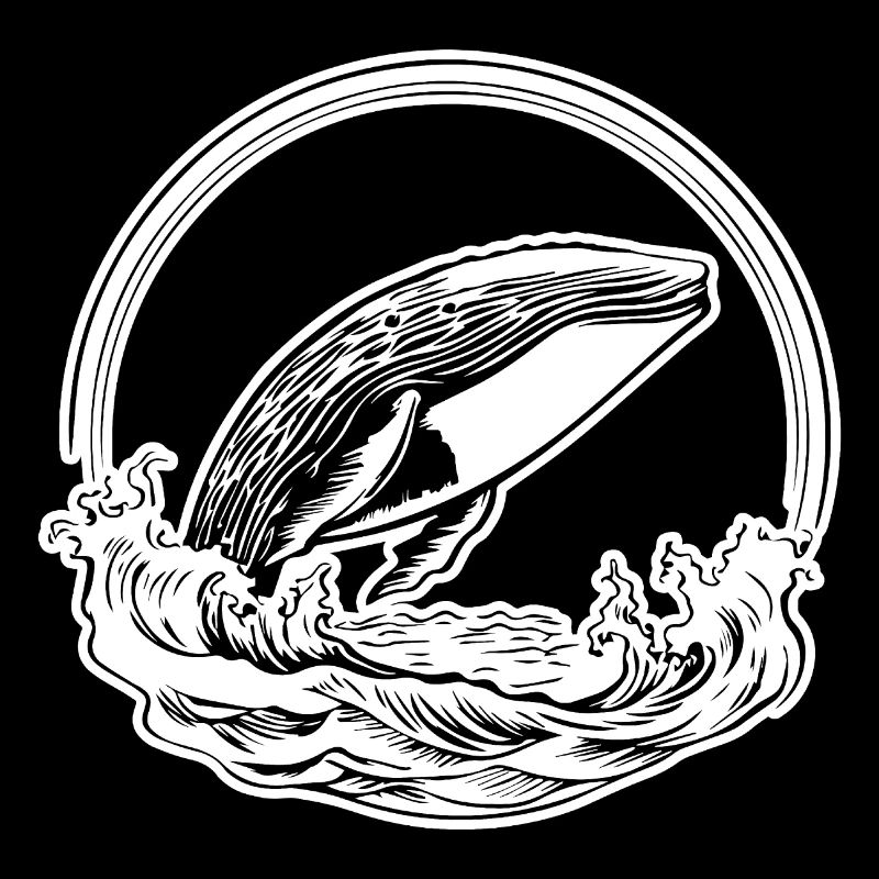 Whale Sea Fish