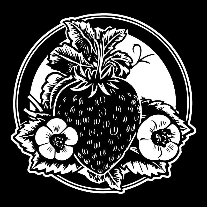 Erdbeere Obst Frucht