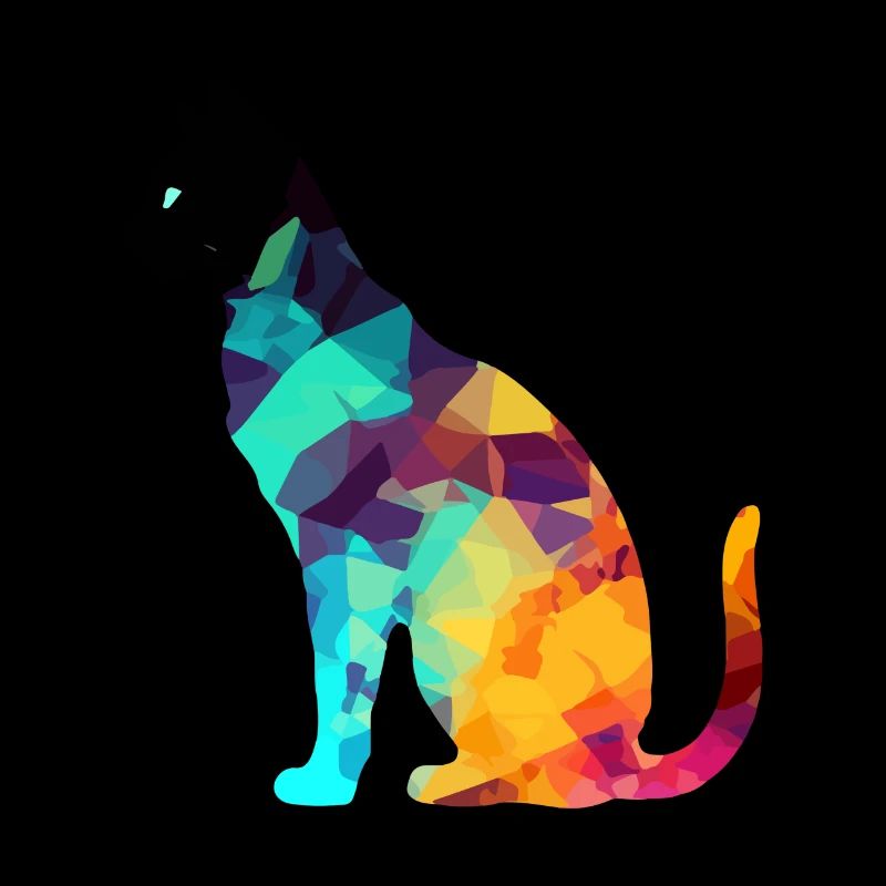 Aki le chat multicolore