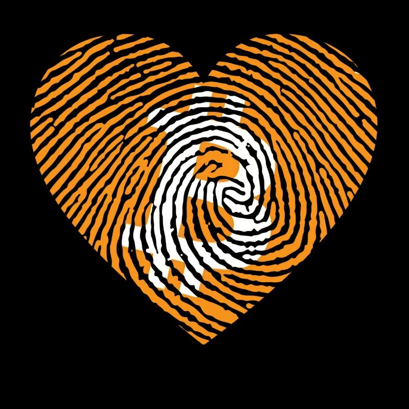 Herz Bitcoin
