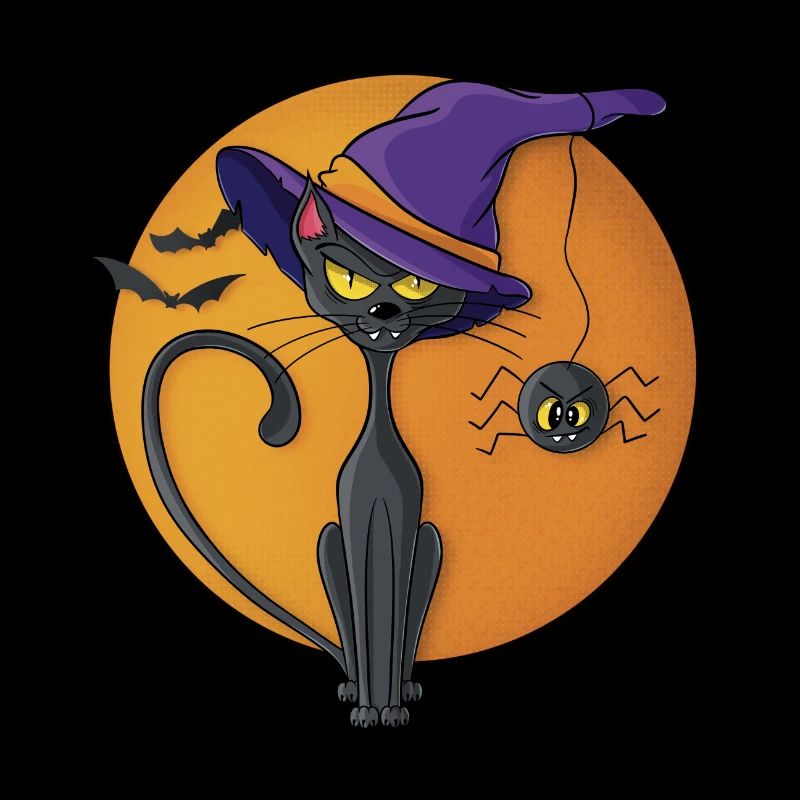 Chat noir et araignée