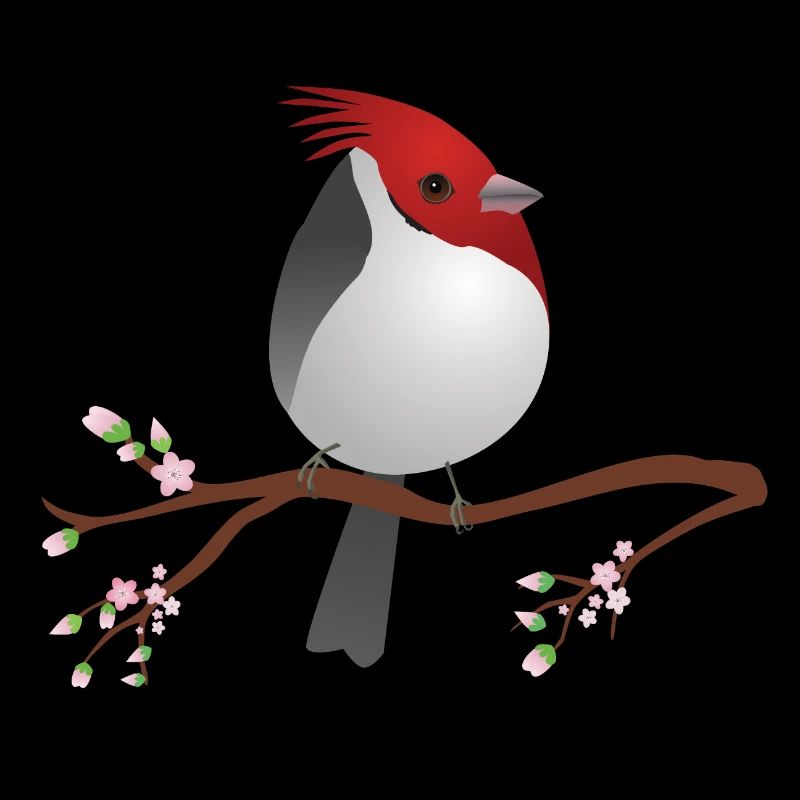 Mignon cardinal à crête rouge